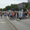 Dino-Umzug 2017